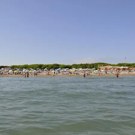 Apartment Beachfront In 54343