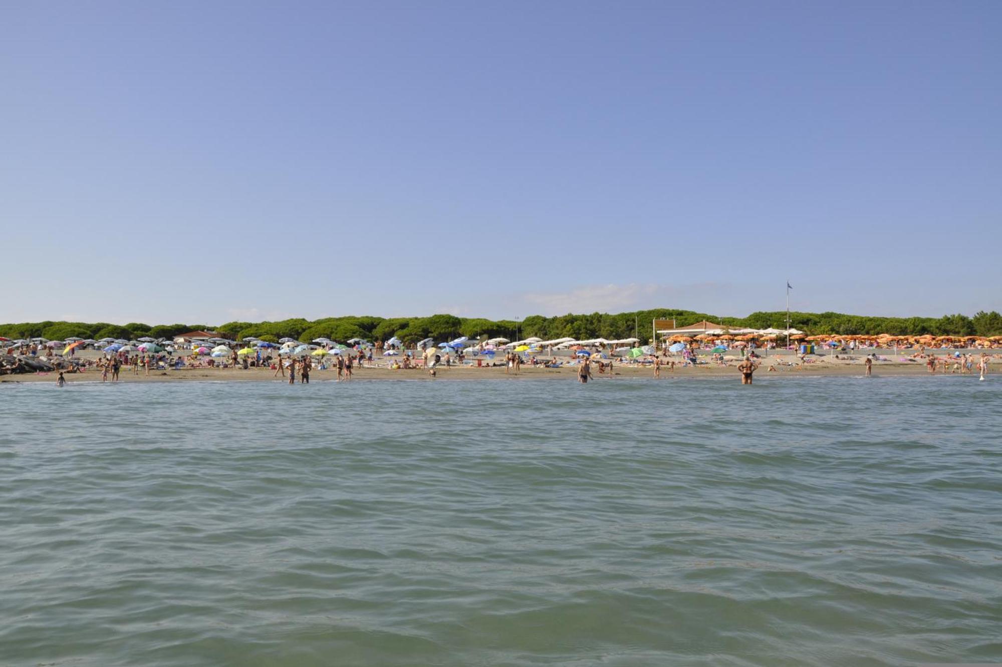 Appartamento Beachfront In 54343